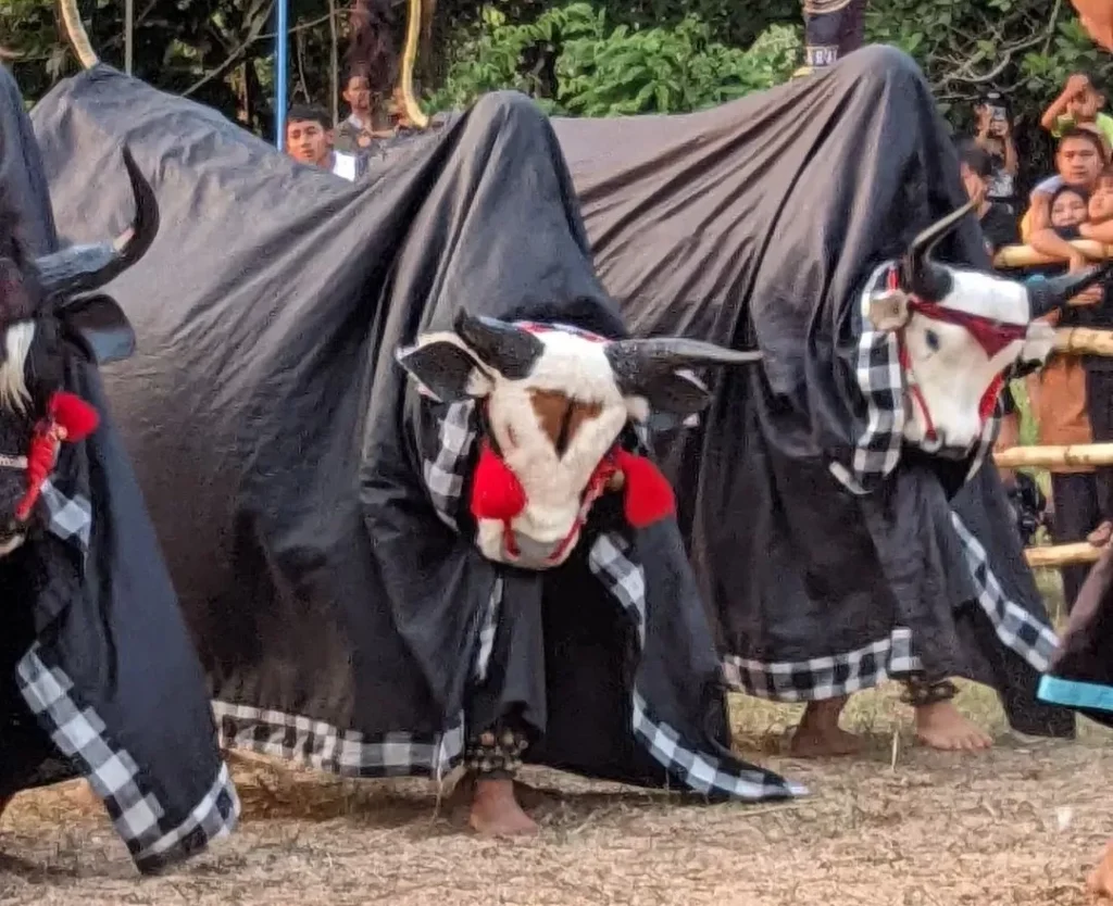 The Ultimate Guide to Cultural Immersion Tours in Southeast Asia Beyond the Postcard-Kesenian Bantengan Malang