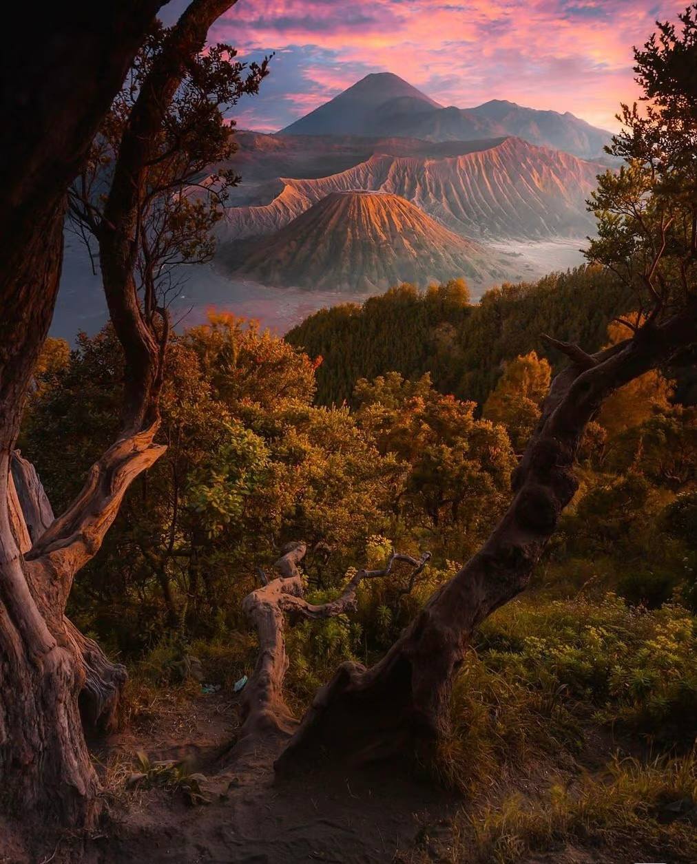 Mount Bromo and Ijen Crater tour guide