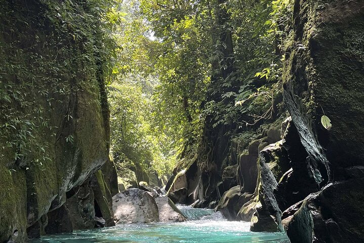 iconic adventure in indonesia for young backpacker - bukit lawang medan